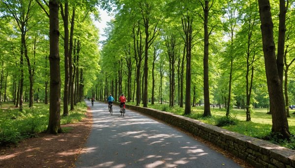Les meilleures activités de plein air à Rennes pour toutes les saisons