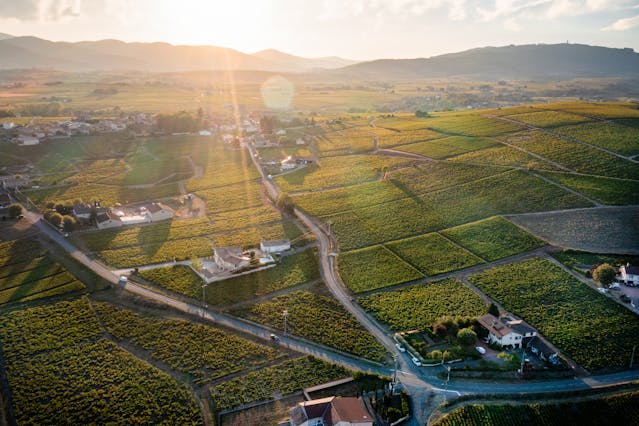 Ancienne bâtisse en pierres dorées à vendre dans le Beaujolais, alliant charme rustique et confort moderne.